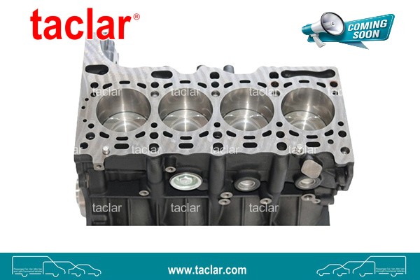 ENGINE BLOCK SHORT