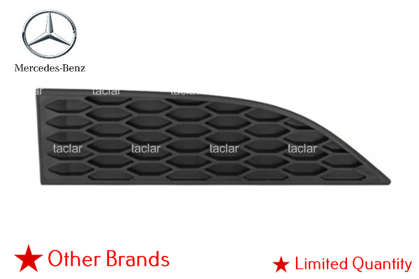 GRILLE ON BUMPER BAND LEFT