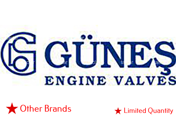 VALVE GUIDES
