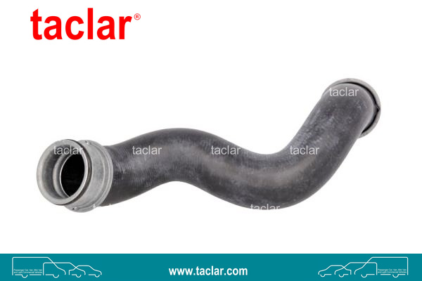 RADIATOR HOSE LOWER