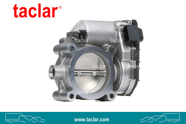 THROTTLE BODY