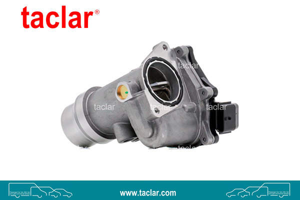 THROTTLE BODY