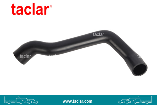 RADIATOR HOSE LOWER