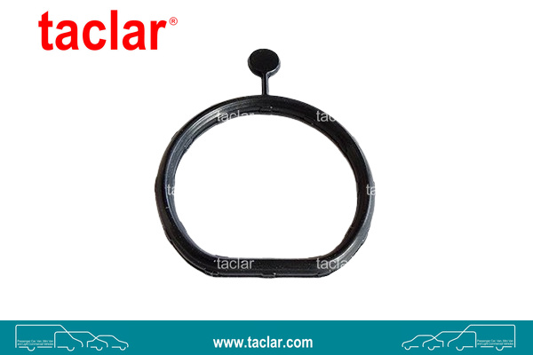 FUEL FILTER SUPPORT GASKET