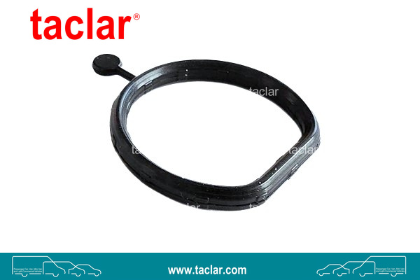 FUEL FILTER SUPPORT GASKET