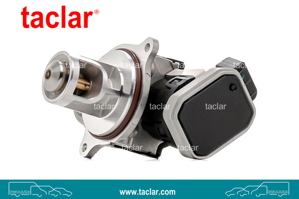 EGR VALVE