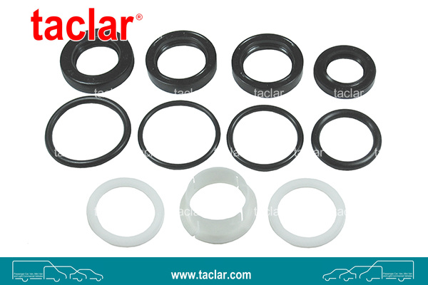 STEERING GEAR BOX REPAIR KIT