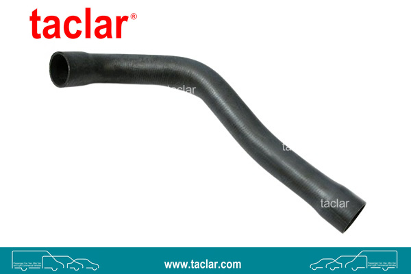 RADIATOR HOSE LOWER