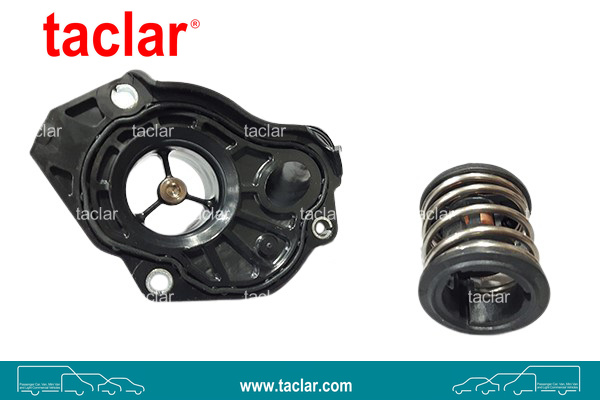 THERMOSTAT WITH FLANGE