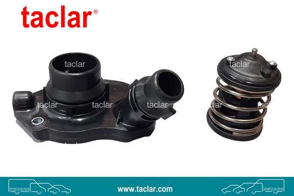 THERMOSTAT WITH FLANGE