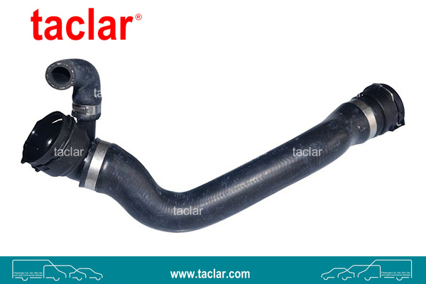 RADIATOR HOSE LOWER