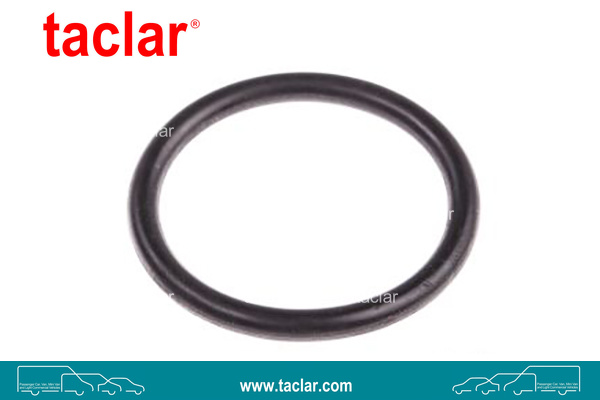 ORING GASKET