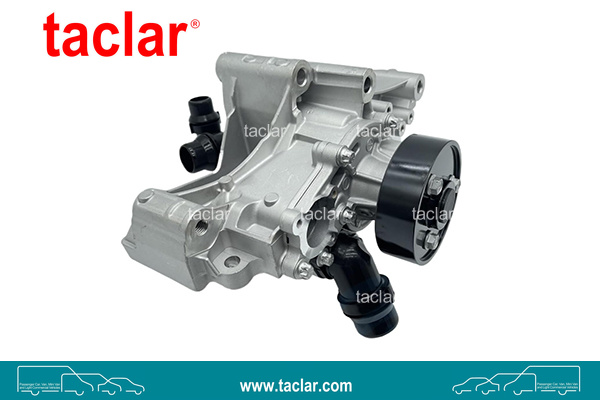 WATER PUMP WITH SUPPORT