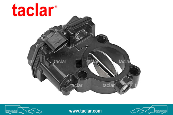 THROTTLE BODY