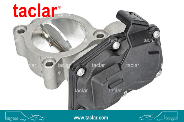 THROTTLE BODY