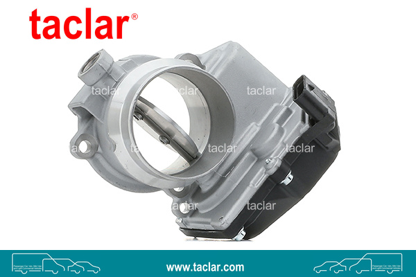 THROTTLE BODY